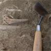 Archaeology Pointing Trowels thumbnail 04